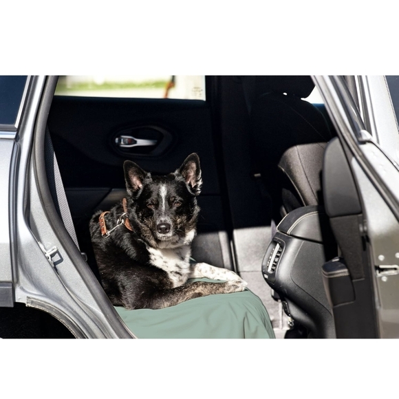 PawPad Waterproof Protective Cover Blanket  Bed, Couch, Chair, Queen Size - Picture 6 of 12